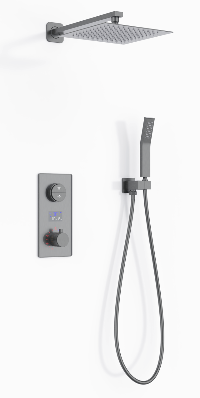Two function shower set