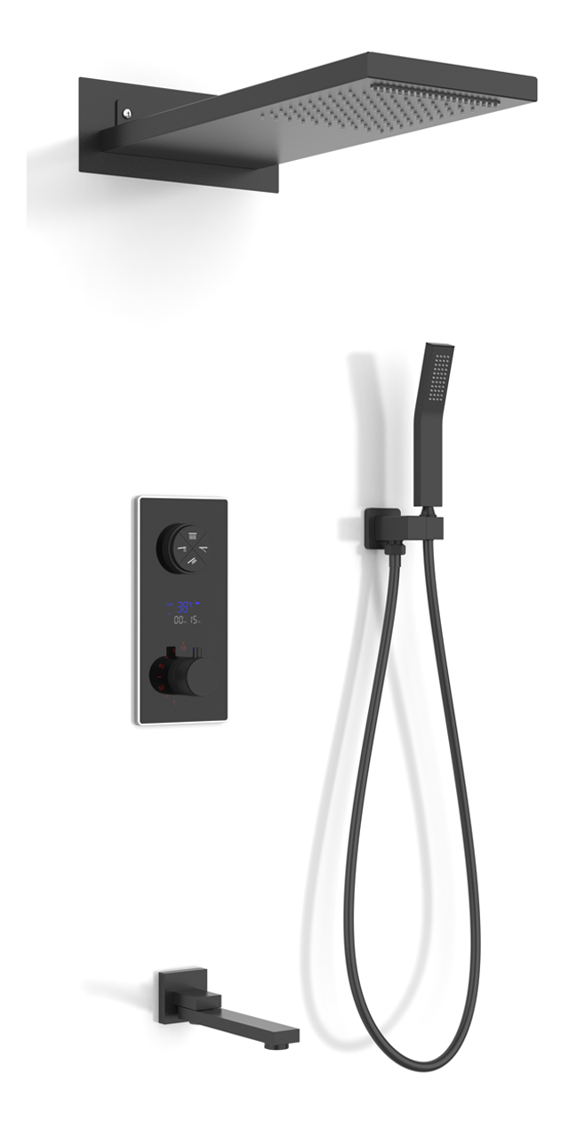 Four function shower set