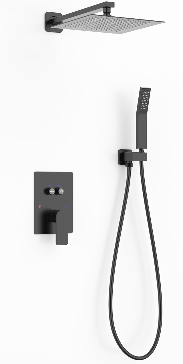 Two function shower set