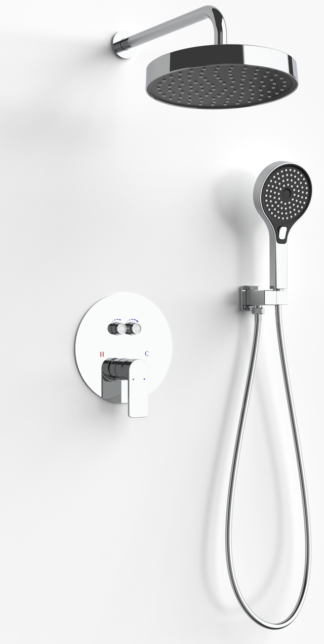 Two function shower set