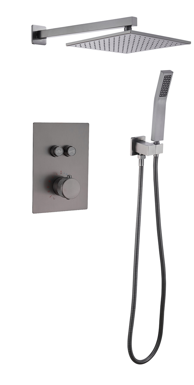 Two function shower set
