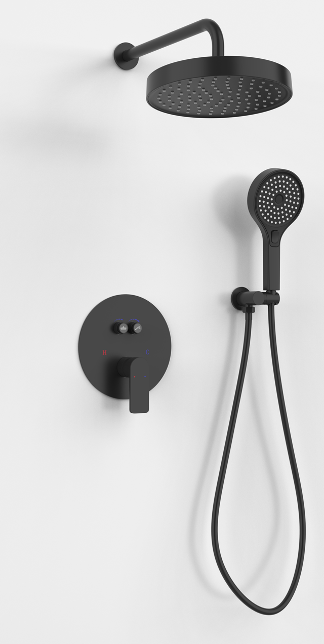 Two function shower set