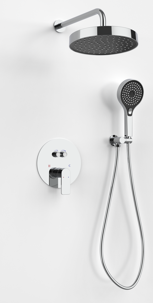 Two function shower set
