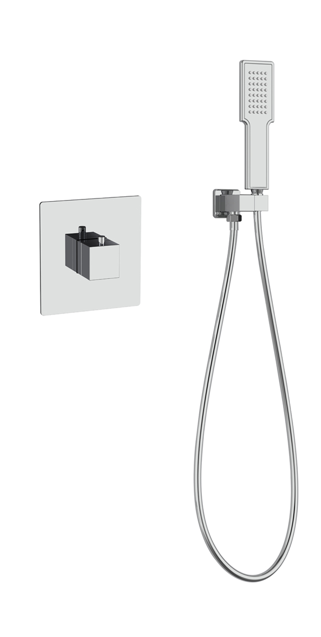 Single function shower set