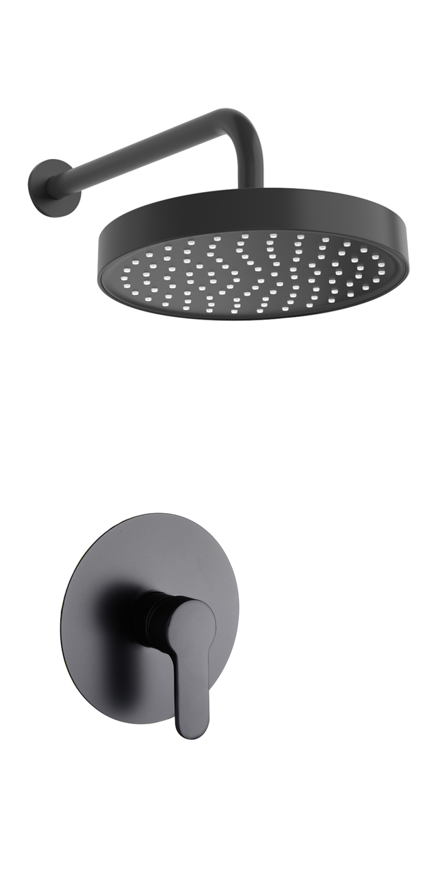 Single function shower set