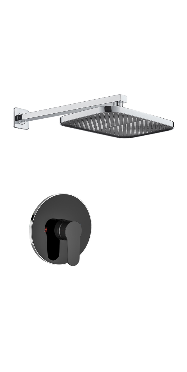 Single function shower set