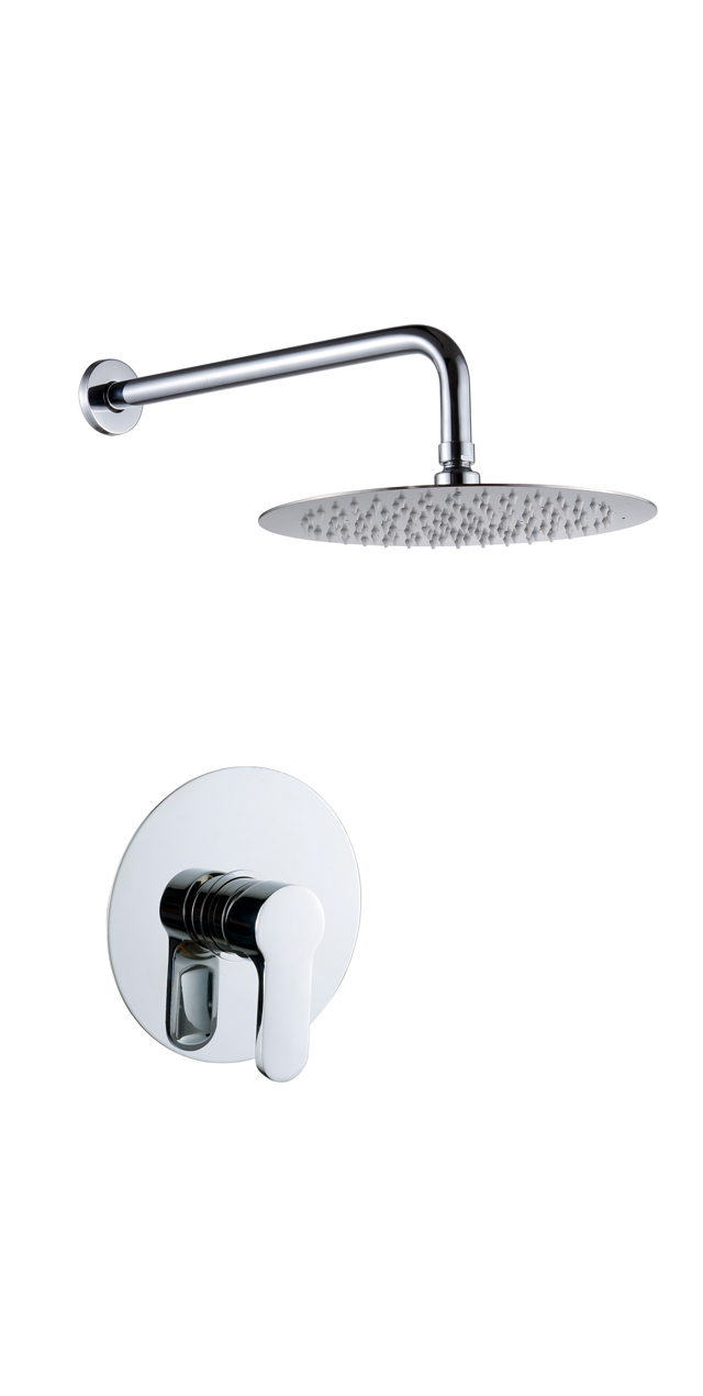 Single function shower set