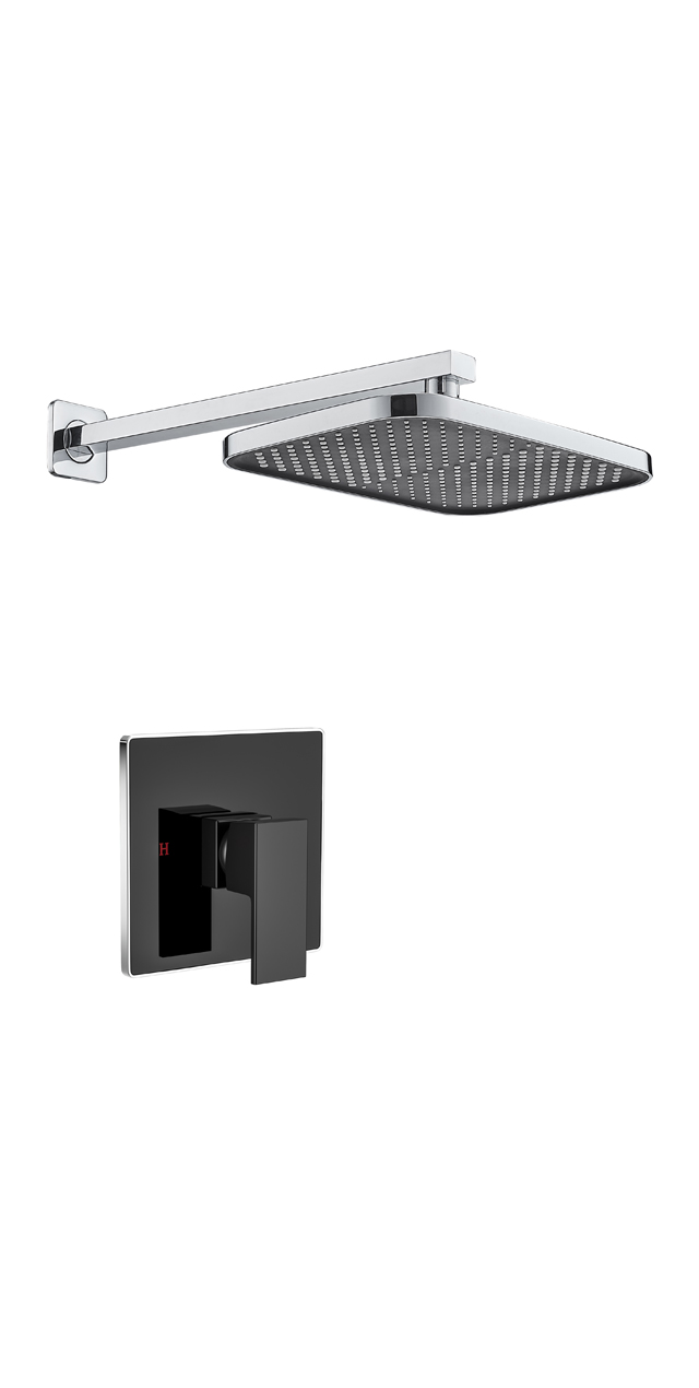 Single function shower set