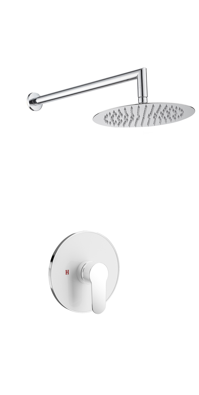 Single function shower set