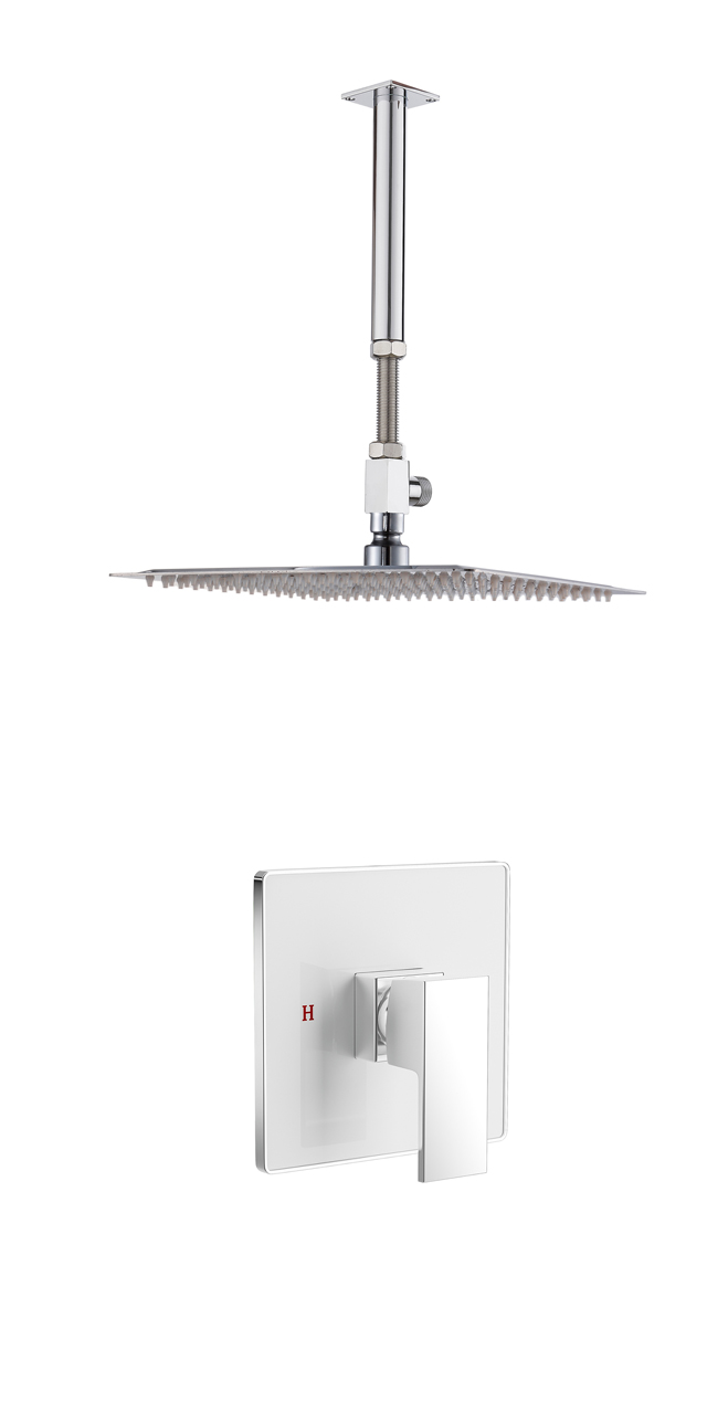 Single function shower set