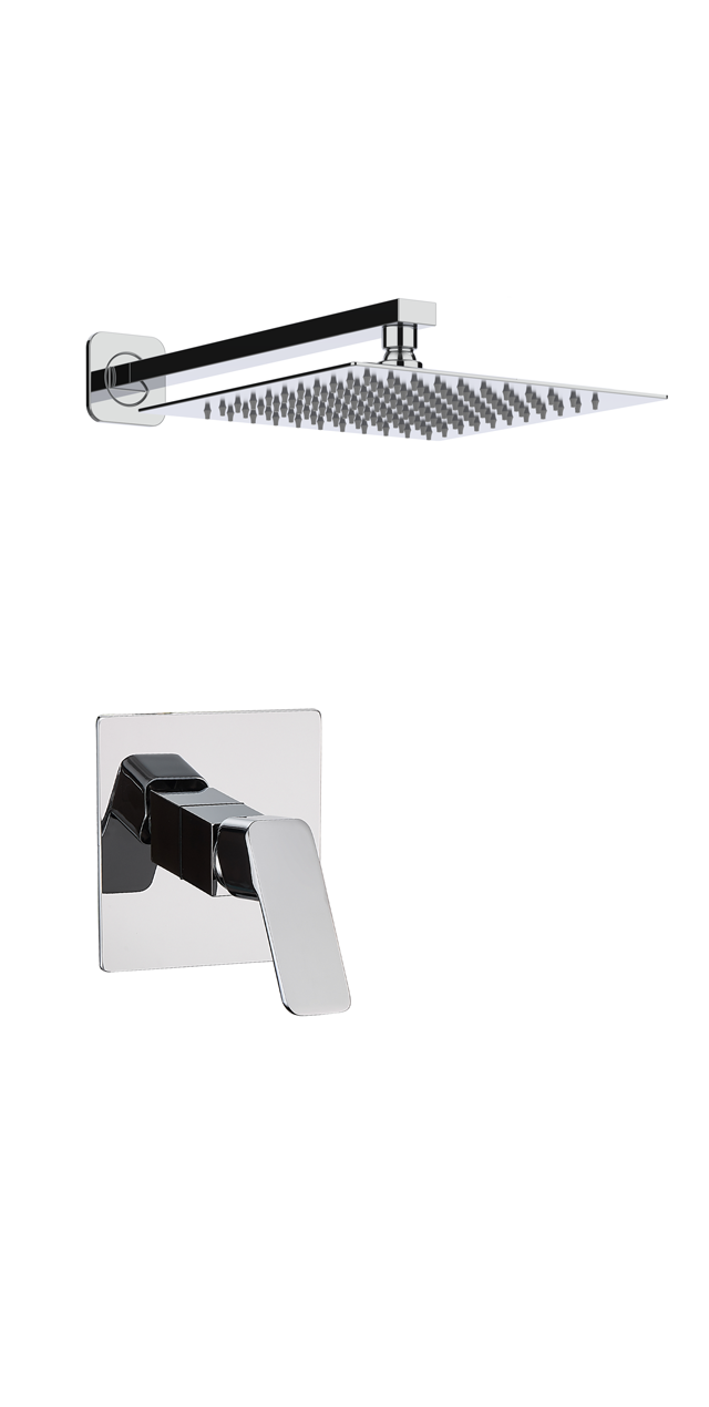 Single function shower set