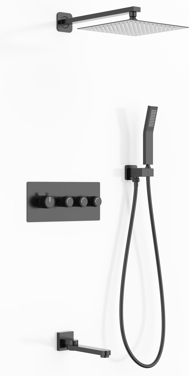 Three function shower set