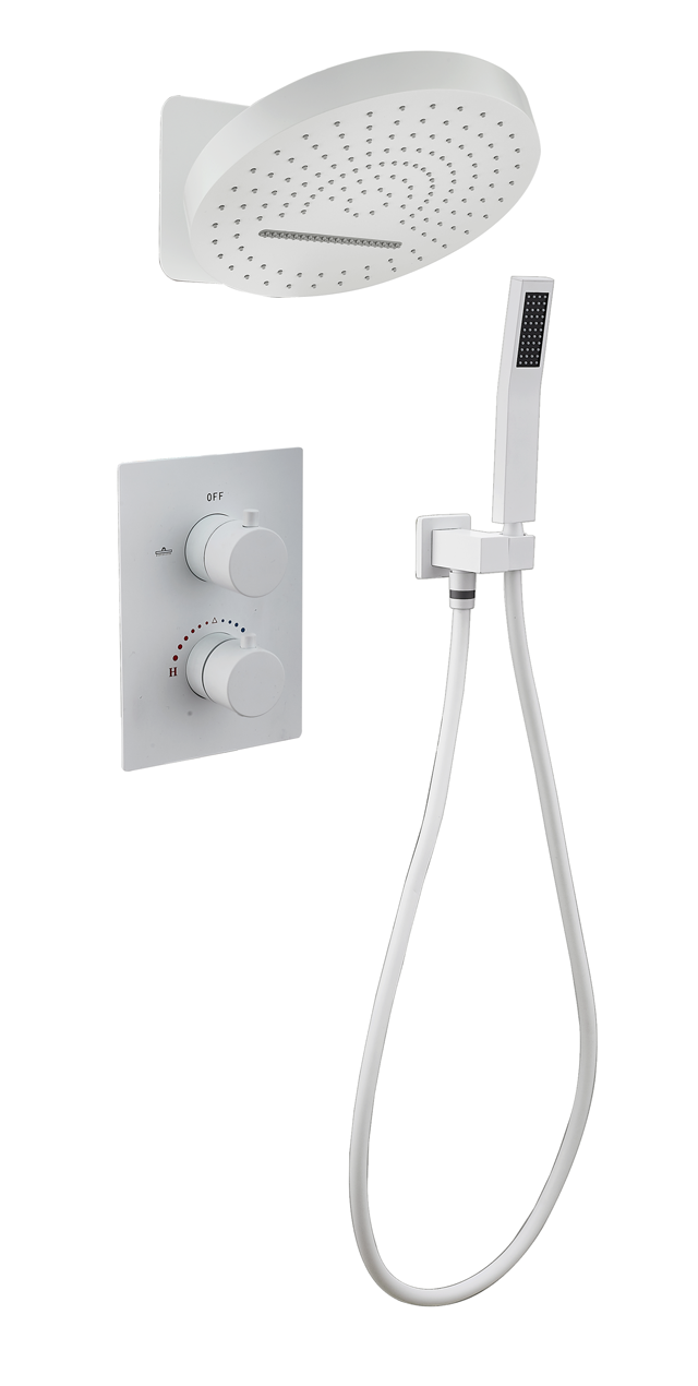 Two function shower set