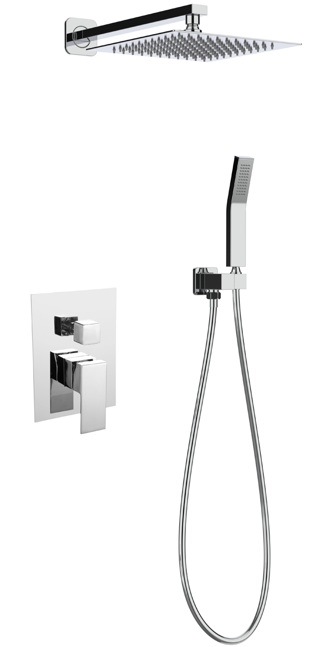 Two function shower set