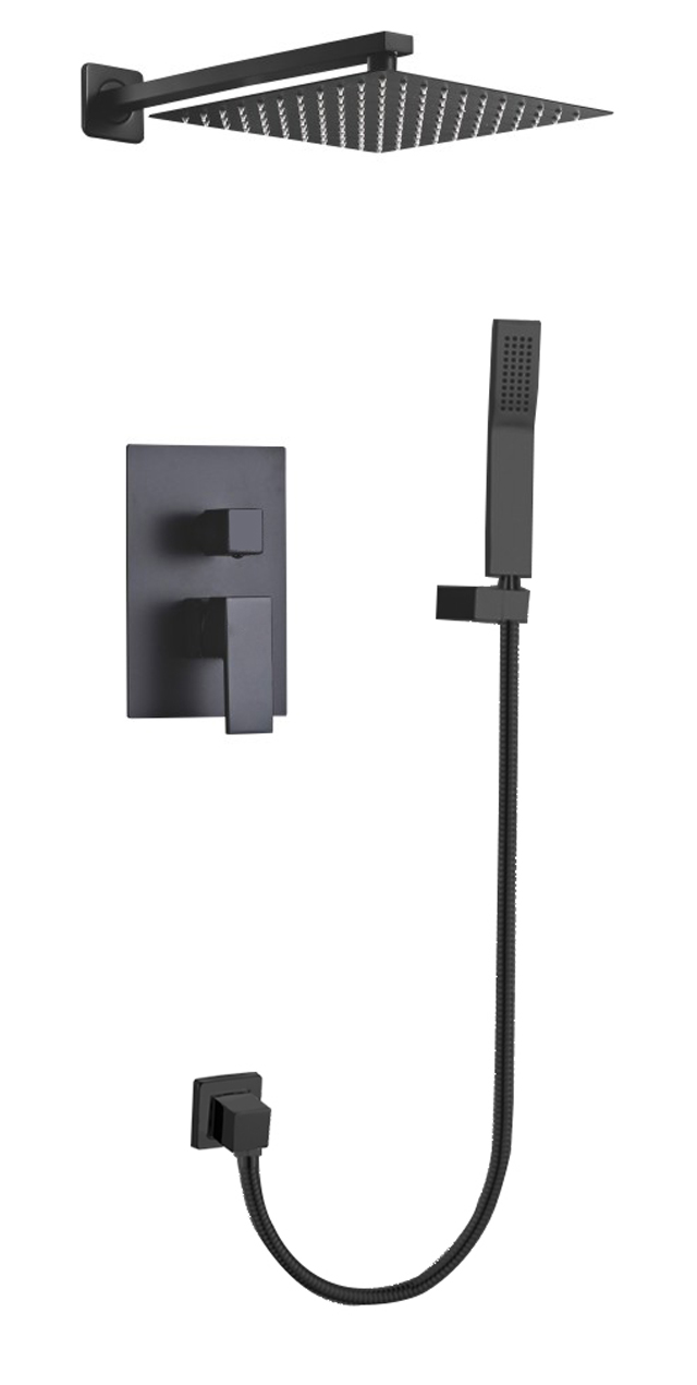 Two function shower set