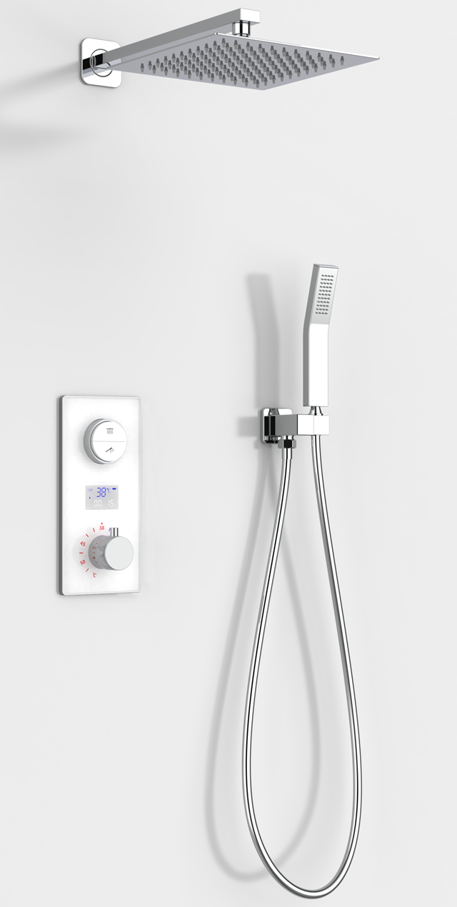 Two function shower set