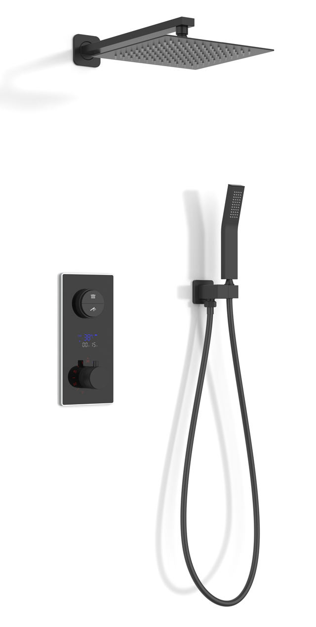 Two function shower set