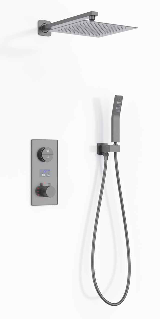 Two function shower set