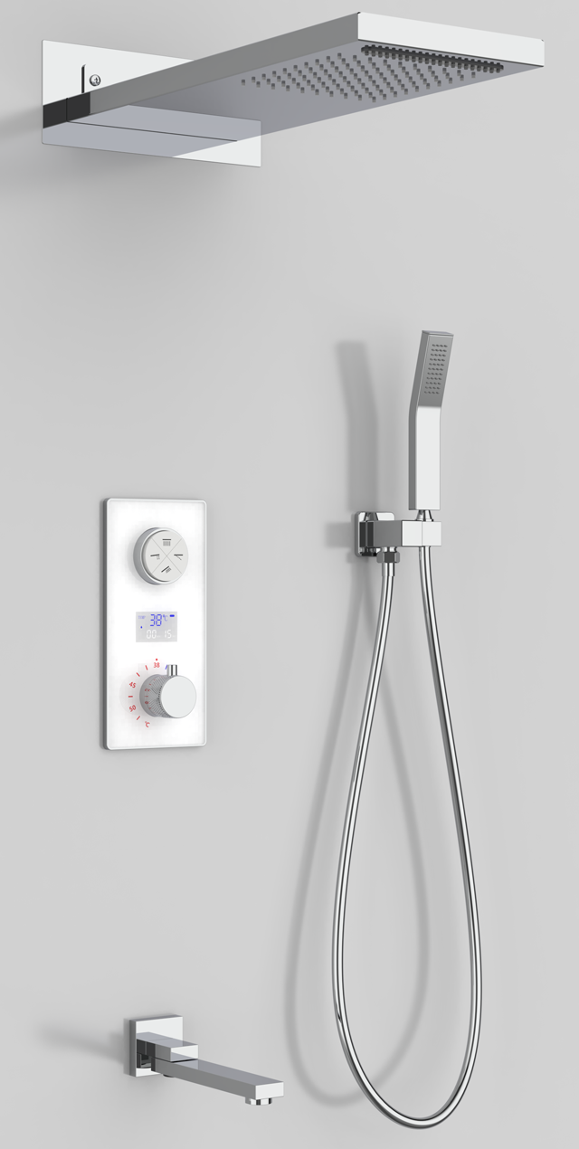 Four function shower set