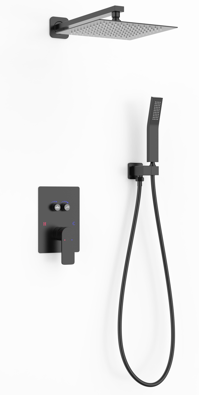 Two function shower set