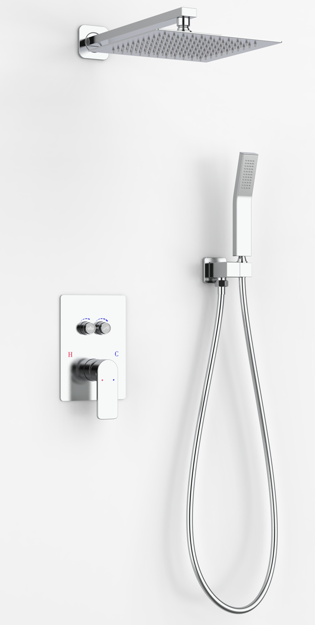 Two function shower set