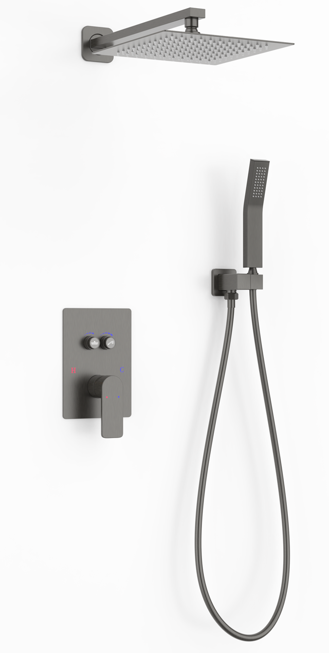 Two function shower set
