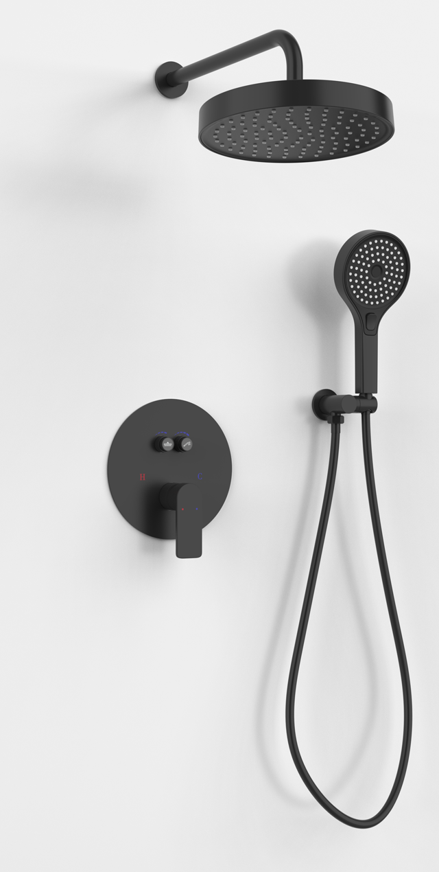 Two function shower set