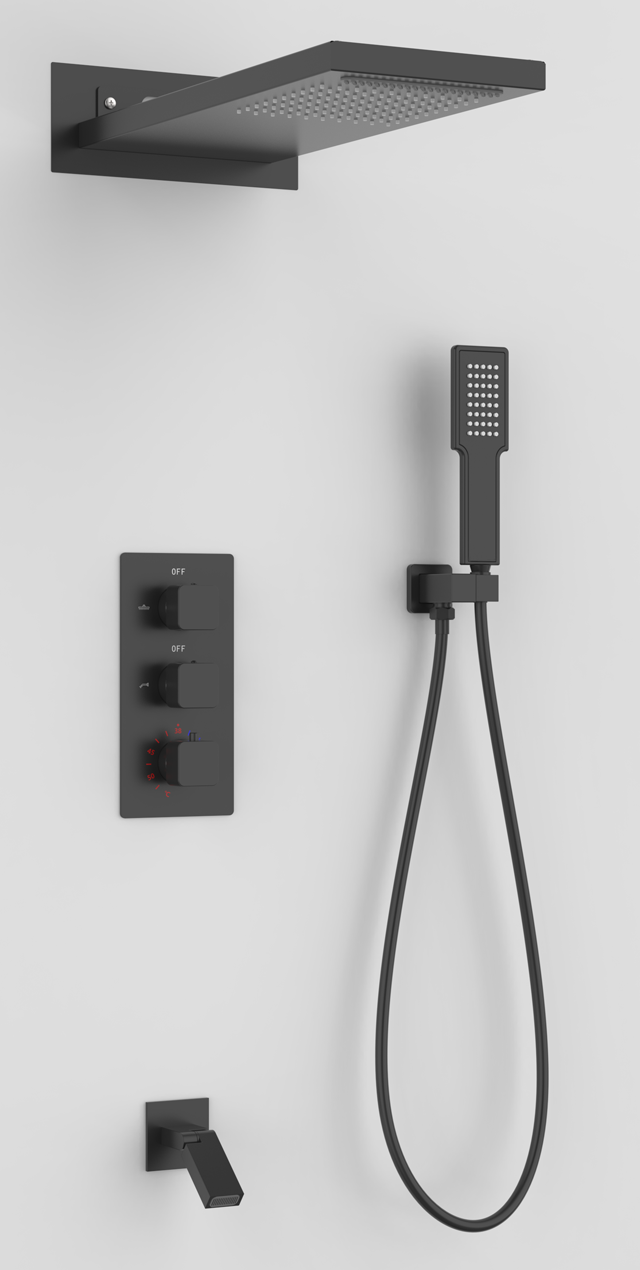Four function shower set